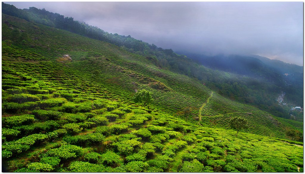 Grand Sikkim & Darjeeling