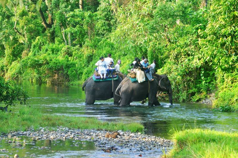 dooars-lataguri-jaldapara