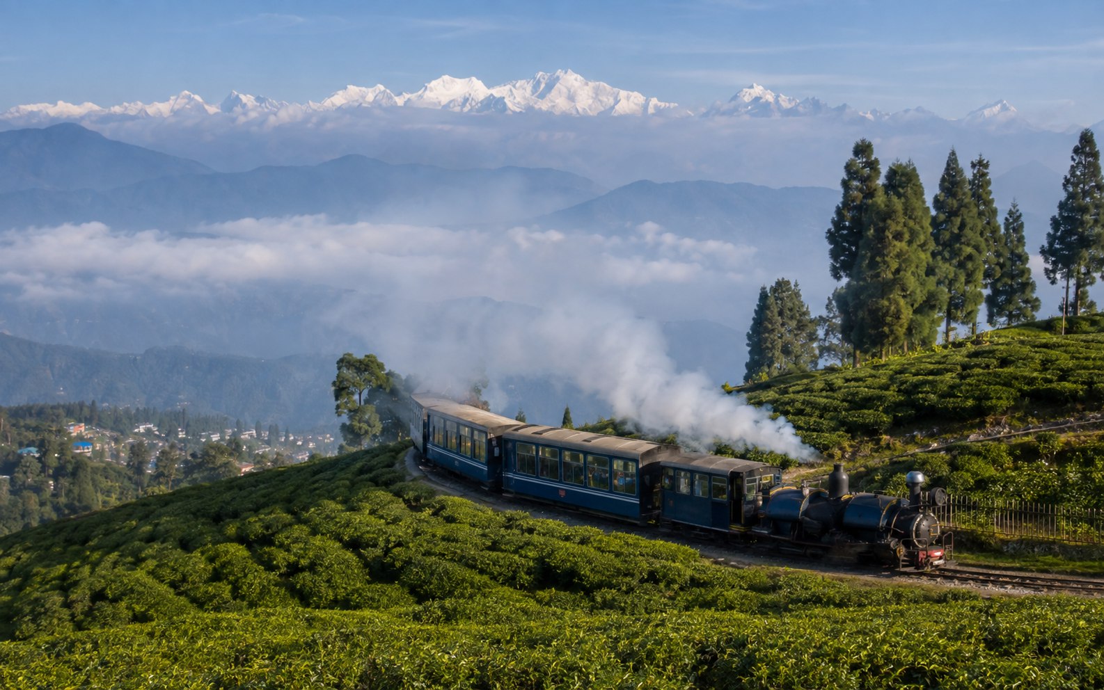 Darjeeling toy train passing through tea gardens